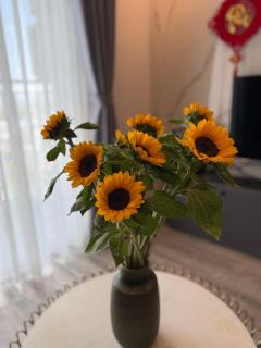Sun's house - 7