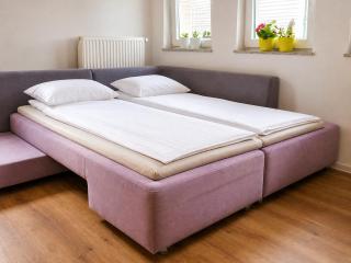 SPRING and SUMMER cosy family apartment near Ljubljana & parking - Domžale - 6