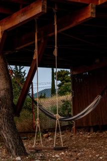 the Treehouse Project - 7