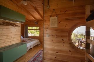the Treehouse Project - 5