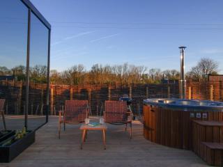 Stylish Mirrored Cabin with Hot Tub & Sauna - 2