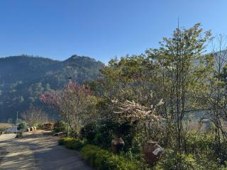 Sapa Ta Phin House - 3