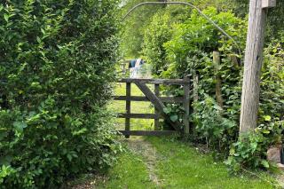 The Old Coach House - countryside escape in Jane Austen country - 6