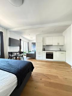 HRE Apartments St Gallen City - 2