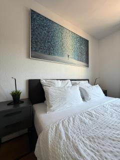 HRE Apartments St Gallen City - 9