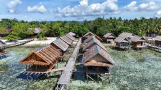 Sehati Homestay - Raja Ampat - 5
