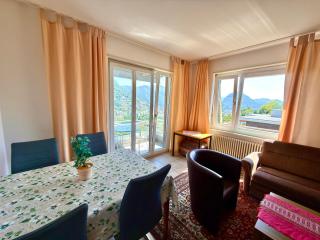 BELVEDERE - Lakeview Apartment 10 min from Lugano - 6