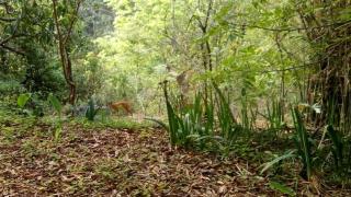 Riverdale homestay cottage - 2