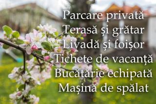 Martha Residence - Sibiu - 0