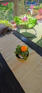 Apartment near centar for 2+1 at Pula, with garden and free parking - 4