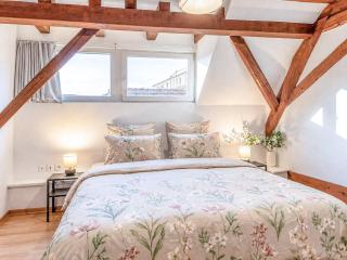 Appartement alsacien lumineux dans un corps de ferme rénové, avec balcon sur les vignes, 2 chambres Queen et parking privé - 1