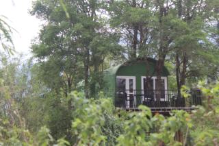 Ivory Inn - 4