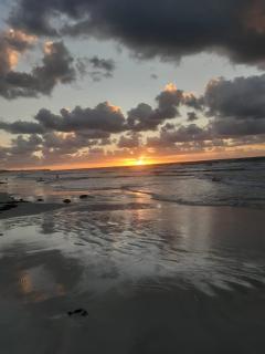 امواج شهر العسل - 0