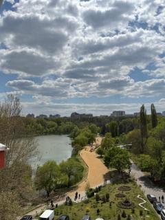 Lake in Park - 9