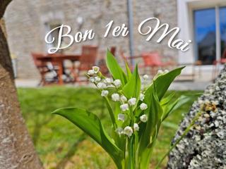 Charmante longère bigoudène - 0