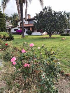 Casa Medita - 7