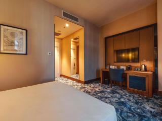 Tbilisi Philharmonic Hotel by Mercure - 8