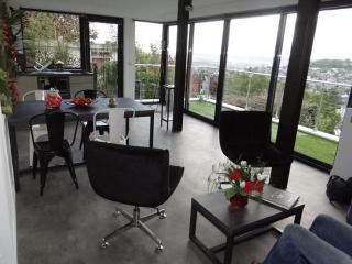Vue exceptionnelle sur Rouen - terrasse panoramique - calme et stationnement - 5 personnes - 8