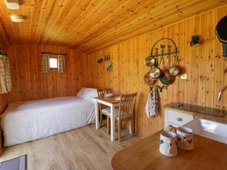 Bills Shepherds Hut - 3