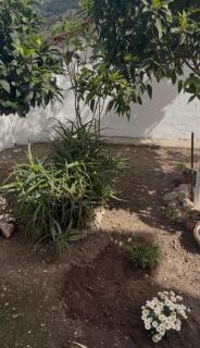 Julia's House - 7