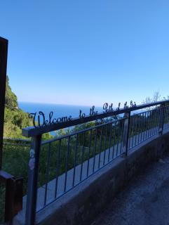 Hakuna Matata tra sentieri - Agerola - 9