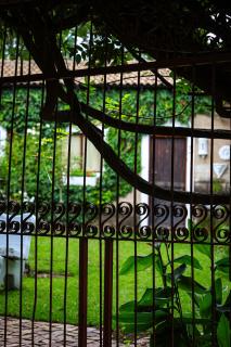 Mercy Tree Manor - 4