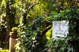 Mercy Tree Manor - 1
