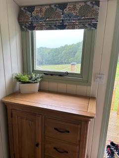 Spinney Wood Glamping, Willow Hut - 9