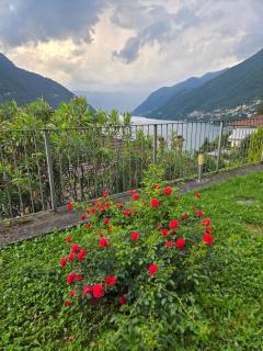 Villa Jambon, Lake Como View, 4 Bedrooms - 3