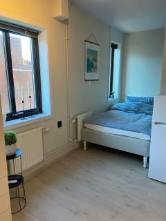 Sentral og sjarmerende studioleilighet i Oslo - 5