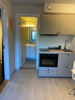 Sentral og sjarmerende studioleilighet i Oslo - 4