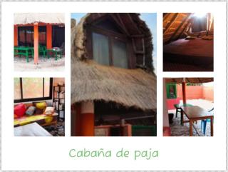 Full Oasis Palmarin - 1