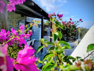 «Astrofeggia» A private stone house Nature-Seaview - Mandrakion - 3