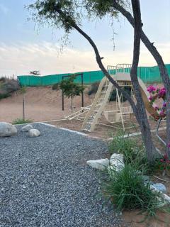 thedesert08 - 9