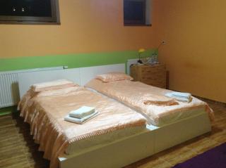 Villa Homestay Nad Helmrovkou - Prag - 3