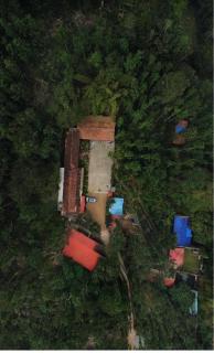 Enchanting woods Yercaud - 9