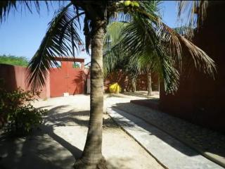 Blue Oasis Palmarin - 7