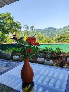Cozy Homestay - 3