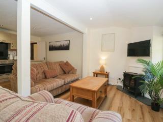 Beech Timber Lodge - 5