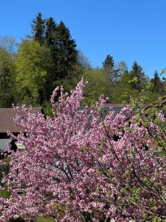 Balkonzimmer Münsingen - Biosphärengebiet Schwäbische Alb - 2