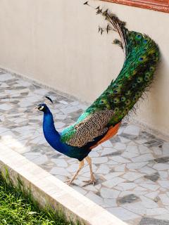 Cutting Edge Guest House - 3