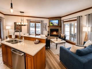 TRUE ski inout - large heated pool in summer! - 0