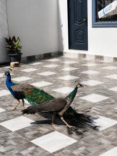 Cutting Edge Guest House - 6