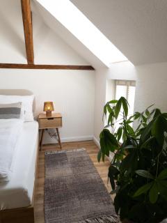 TINY TEUTO HOUSE- Die alte Schusterei - 5