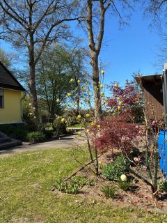 Haus Wald und Wiese Wohnung Wiese - 8