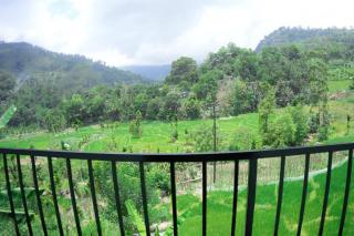 Misty Retreat Mandaramnuwara - 5