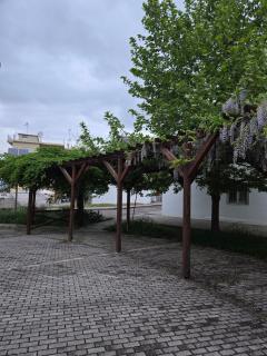 NK Chrysorroa - 7