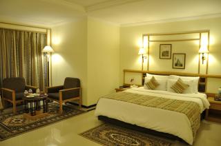 Aditya Park-A Sarovar Portico Hotel - Hyderabad - 3