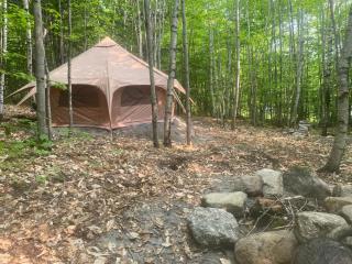 Forest Yurt - 0