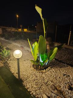 Alba Chiara Licata - 5